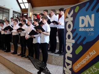 Fejér Megyei Diáknapok 2018 - fotó: 