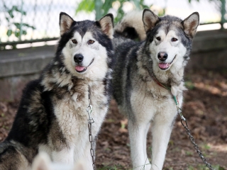 Nagy Sport-és Hangszerválasztó 2018 - fotó: Sándor Judit