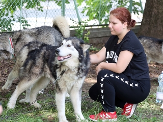 Nagy Sport-és Hangszerválasztó 2018 - fotó: Sándor Judit