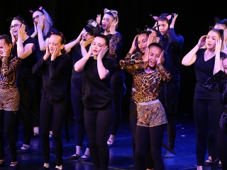 Gárdonyisok gálája a színházban (2018) - fotó: Sándor Judit