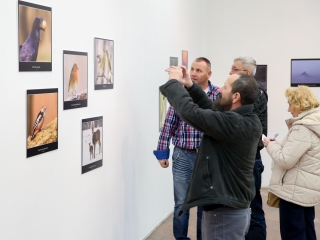 Természet ahogy még nem látta! - fotó: Ónodi Zoltán