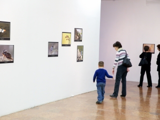 Természet ahogy még nem látta! - fotó: Ónodi Zoltán