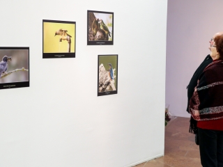 Természet ahogy még nem látta! - fotó: Ónodi Zoltán