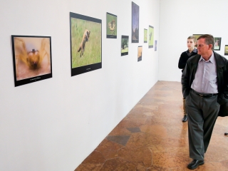 Természet ahogy még nem látta! - fotó: Ónodi Zoltán