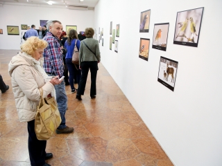 Természet ahogy még nem látta! - fotó: Ónodi Zoltán