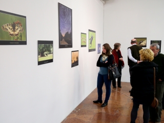 Természet ahogy még nem látta! - fotó: Ónodi Zoltán