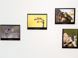 Természet ahogy még nem látta! - fotó: Ónodi Zoltán