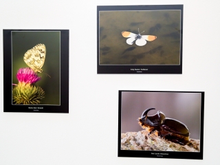 Természet ahogy még nem látta! - fotó: Ónodi Zoltán