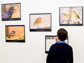 Természet ahogy még nem látta! - fotó: Ónodi Zoltán
