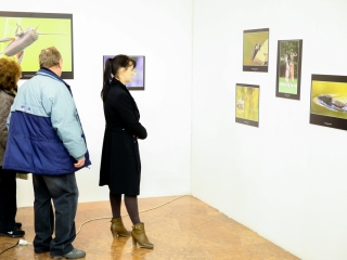 Természet ahogy még nem látta! - fotó: Ónodi Zoltán