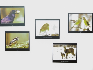 Természet ahogy még nem látta! - fotó: Ónodi Zoltán