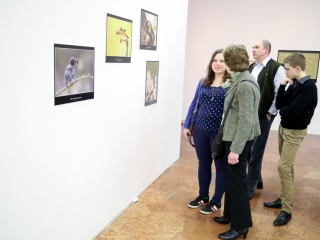 Természet ahogy még nem látta! - fotó: Ónodi Zoltán