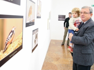 Természet ahogy még nem látta! - fotó: Ónodi Zoltán