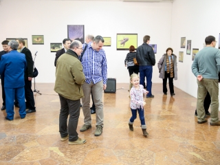 Természet ahogy még nem látta! - fotó: Ónodi Zoltán