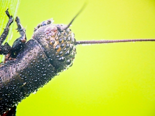 Természet ahogy még nem látta! - fotó: Ónodi Zoltán