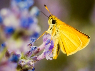 Természet ahogy még nem látta! - fotó: Ónodi Zoltán