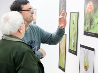 Természet ahogy még nem látta! - fotó: Ónodi Zoltán