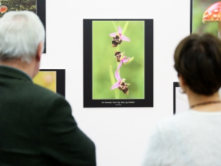 Természet ahogy még nem látta! - fotó: Ónodi Zoltán