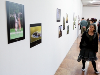 Természet ahogy még nem látta! - fotó: Ónodi Zoltán
