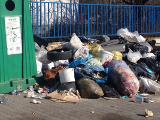 Kakas a szemétdombon! - fotó: 