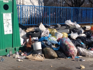 Kakas a szemétdombon! - fotó: 