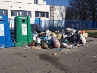 Kakas a szemétdombon! - fotó: 