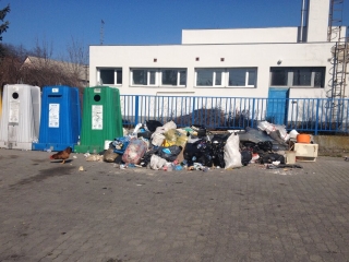 Kakas a szemétdombon! - fotó: 