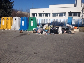 Kakas a szemétdombon! - fotó: 