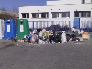 Kakas a szemétdombon! - fotó: 