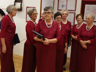 Falvédő kiállítás - fotó: Sándor Judit