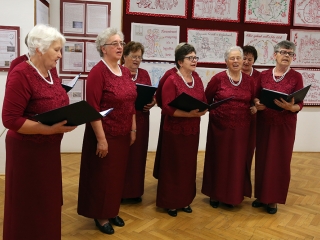 Falvédő kiállítás - fotó: Sándor Judit