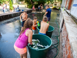 Vízipisztolyosok csatája - fotó: Ónodi Zoltán