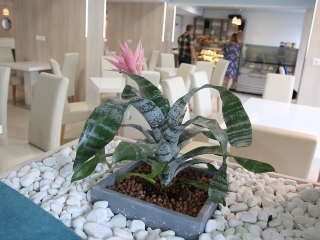 Megnyitott a felújított Főtér Kávézó - fotó: Sándor Judit