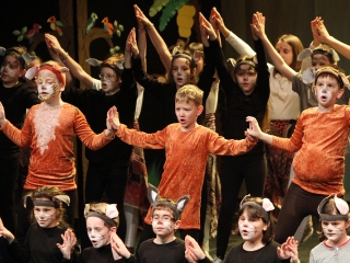 Jótékonysági est Jovány Barbiért - fotó: Sándor Judit