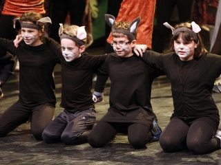 Jótékonysági est Jovány Barbiért - fotó: Sándor Judit