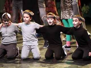 Jótékonysági est Jovány Barbiért - fotó: Sándor Judit