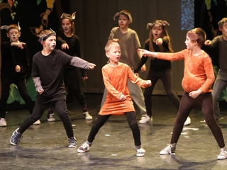 Jótékonysági est Jovány Barbiért - fotó: Sándor Judit