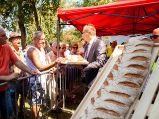 Augusztális 2018 - fotó: Ónodi Zoltán