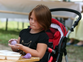 A Csupacsoda Birodalom megnyitója az MMK-ban - fotó: Sándor Judit