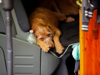 Városrészi Nap 2018 - fotó: Ónodi Zoltán