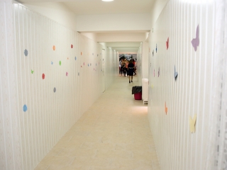 A Lorántffy iskola felújított kollégiuma - fotó: Sándor Judit