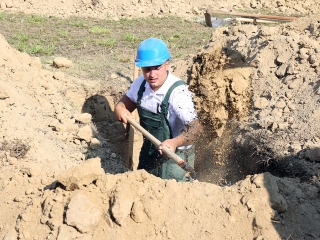 Sírásó verseny a temetőben - fotó: Sándor Judit