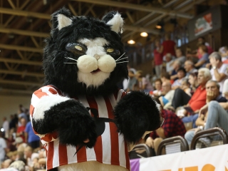 DKKA - Siófok 20:26 - fotó: Sándor Judit