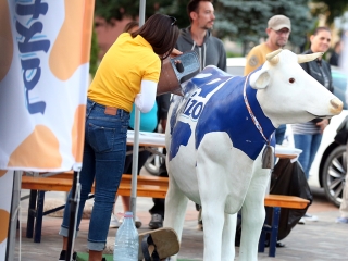 Balázsék Dunaújvárosban - Rádió 1 Roadshow - fotó: Sándor Judit