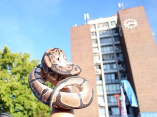 Balázsék Dunaújvárosban - Rádió 1 Roadshow - fotó: Sándor Judit