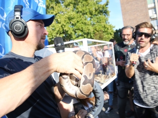 Balázsék Dunaújvárosban - Rádió 1 Roadshow - fotó: Sándor Judit