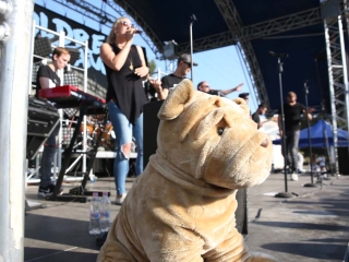 Centrumban a család - fotó: Sándor Judit