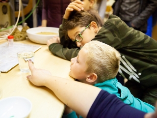 Kutatók Éjszakája 2018 - fotó: Ónodi Zoltán