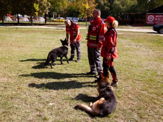 Vöröskeresztes gyakorlat a Szalki-szigeten - fotó: Ónodi Zoltán