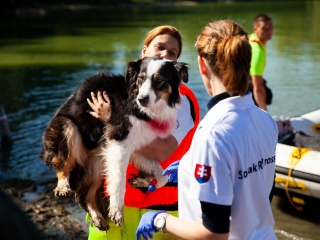 Vöröskeresztes gyakorlat a Szalki-szigeten - fotó: Ónodi Zoltán